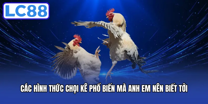 Các hình thức chọi kê phổ biến mà anh em nên biết tới