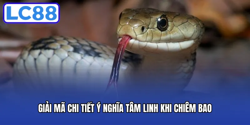 Giải mã chi tiết ý nghĩa tâm linh khi chiêm bao